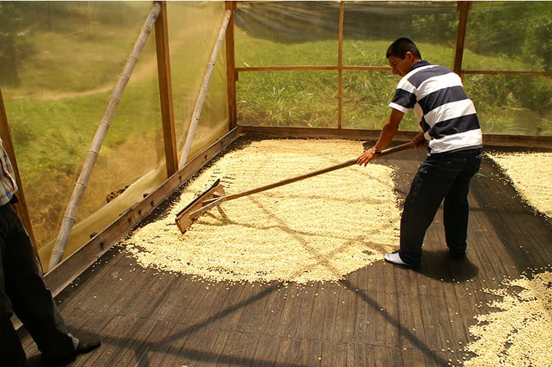 Bild zur Plantage  Specialty Program of Becamo - ideale Bedingungen für den Kaffeeanbau in Honduras