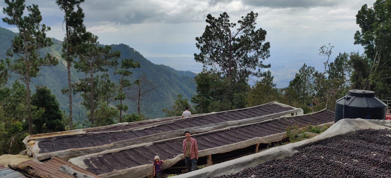 Bild zur Plantage  Finca Las Veraneras - herausragende Kaffeebohnen und Aromen aus El Salvador