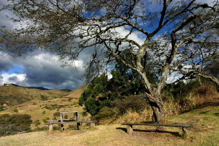 Bild zur Plantage  Region Vilcabamba APECAEL - Qualitäts Kaffee Ecuador