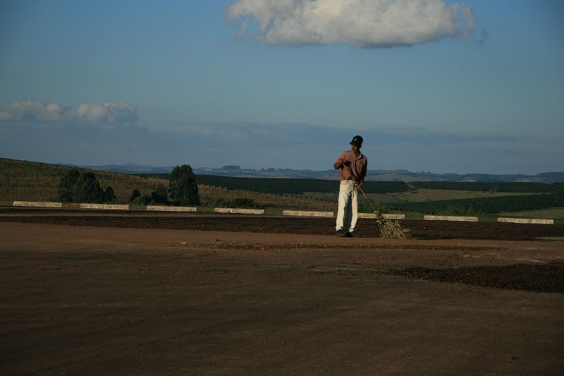 Bild zur Plantage  Fazenda da Lagoa Estate - feine Kaffeebohnen aus Brasilien