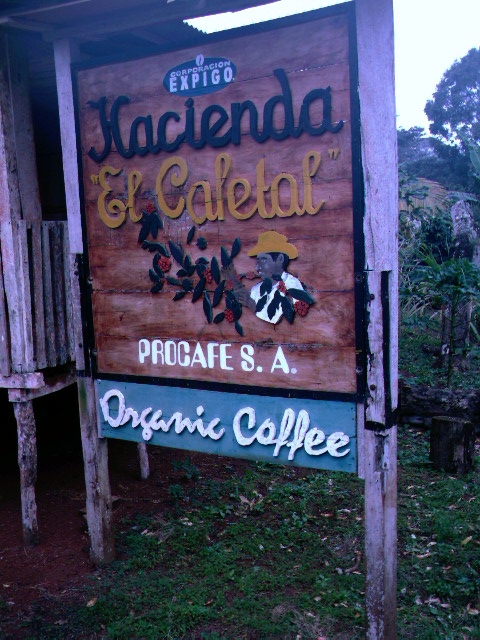 Bild zur Plantage  El Cafetal Estate - außergewöhnlicher Kaffee von Galapagos Ecuador