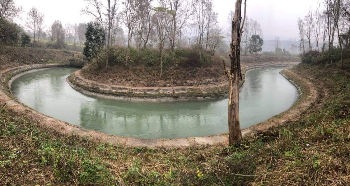 Bild zur Plantage  Gauribesi Estate - unverwechselbare Aromen im Kaffee aus Nepal