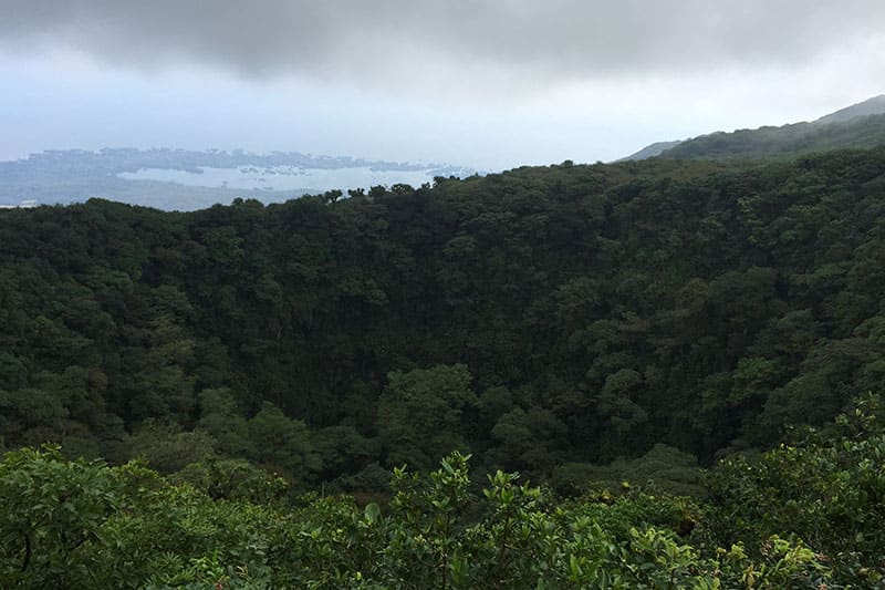 Bild zur Plantage  El Limoncillo Estate, Farmer Erwin Mierisch - erstklassige Kaffees aus Nicaragua