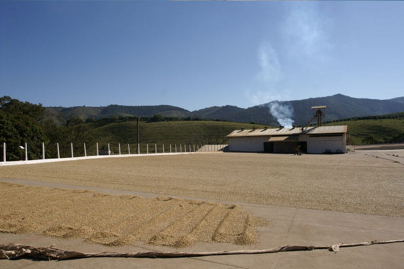 Bild zur Plantage  Fazenda da Lagoa Estate - feine Kaffeebohnen aus Brasilien