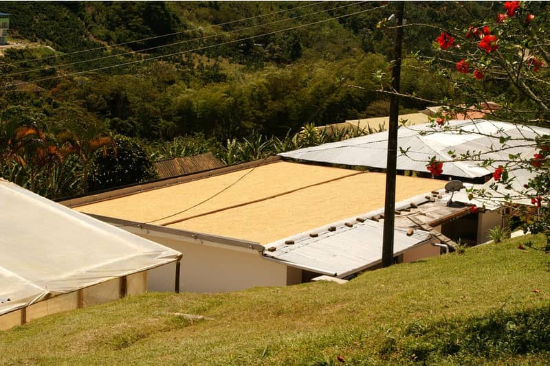 Bild zur Plantage  Region Sierra Maestra - Spitzen-Kaffee aus Kuba