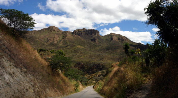 Bild zur Plantage  Region Vilcabamba APECAEL - Qualitäts Kaffee Ecuador