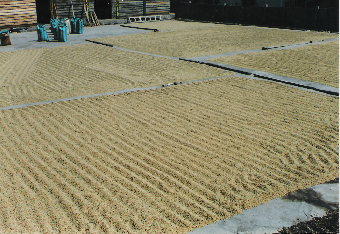 Bild zur Plantage  El Cafetal Estate - außergewöhnlicher Kaffee von Galapagos Ecuador