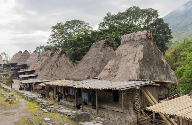 Bild zur Plantage  Da’Gabo Bajawa Estate